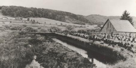Absenkung Moossee