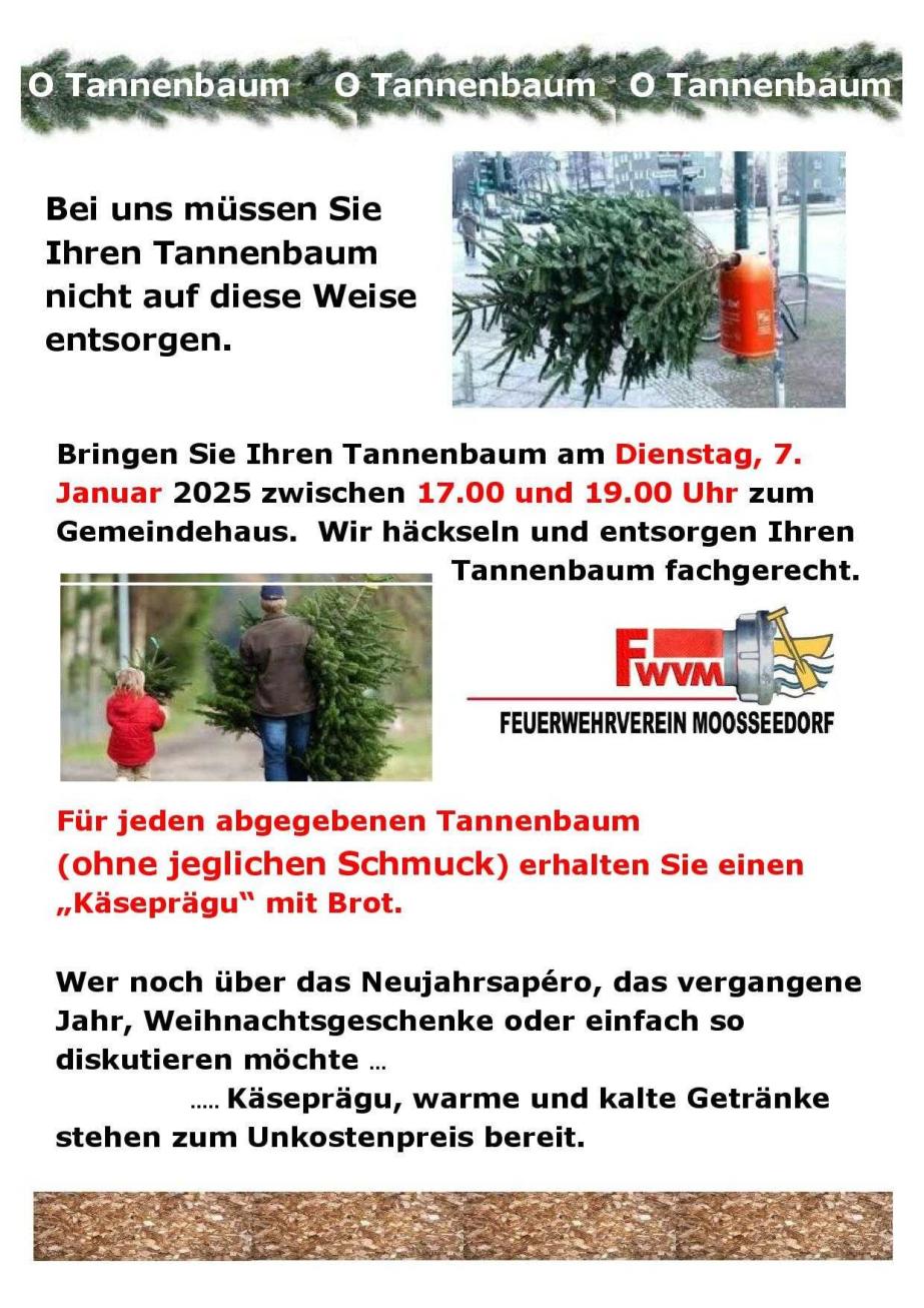 Tannenbaumentsorgung