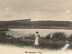 Moossee 1900