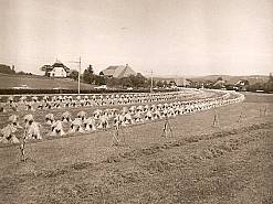 Bahnlinie und Hauptstrasse 1958