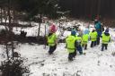 Laterne im Wald