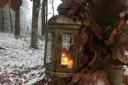 Laterne im Wald